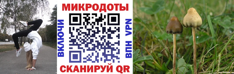 цена наркотик  Кизляр  Галлюциногенные грибы Magic Shrooms 