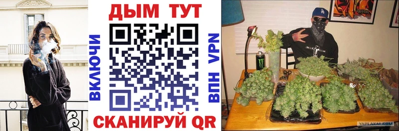 Каннабис SATIVA & INDICA что такое наркотик Кизляр