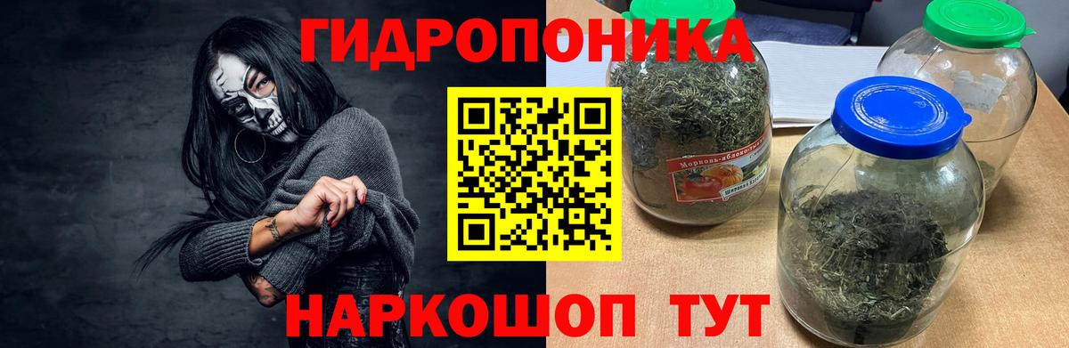 Бошки Шишки марихуана  Вход с VPN  Кизляр  Канабис сатива 